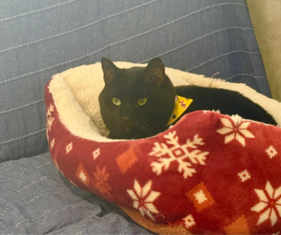 自立援助ホームへ視察に行きました！ | 助成事業 | 日本財団